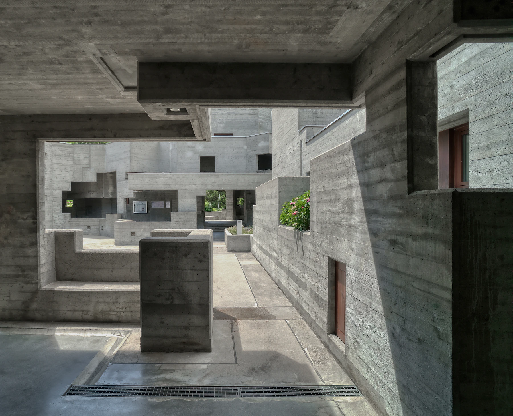 Daylight moves through an intricate sequence of board-marked concrete walls and open courtyards