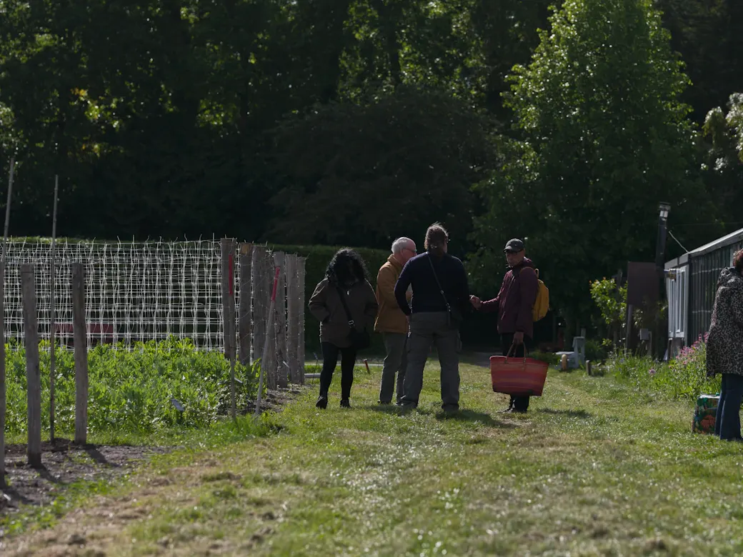 Adults gathered beside planting beds in a community garden